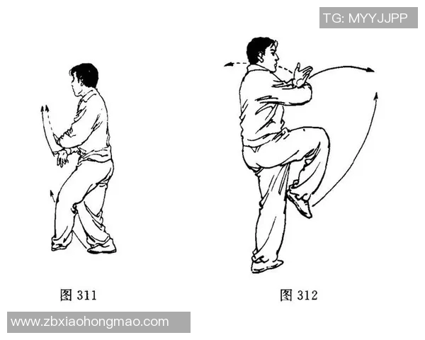 初学太极拳的基础知识与练习技巧全面指南助你轻松入门太极之美