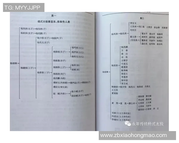 太极拳的起源与发展探秘：揭开创立者的神秘面纱