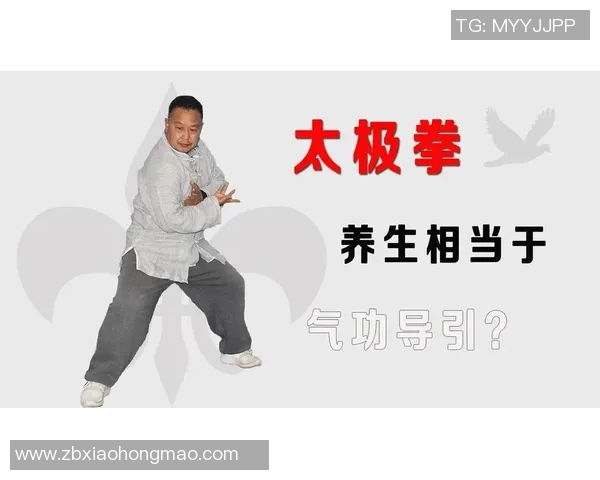 深入探索太极拳的奥秘推荐几本必读书籍助你提升技艺与理解 深入探索太极拳的奥秘推荐几本必读书籍助你提升技艺与理解