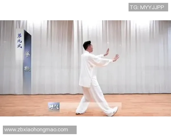 探索太极拳的练法与技巧提升身心健康的全面指南