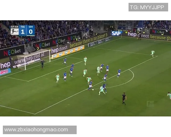 沙尔克04逆袭,胜霍芬海姆,重登胜利之巅 沙尔克04逆袭,胜霍芬海姆,重登胜利之巅