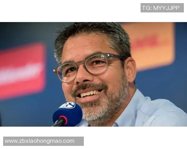 沙尔克04解雇主帅瓦格纳下课寻找新帅