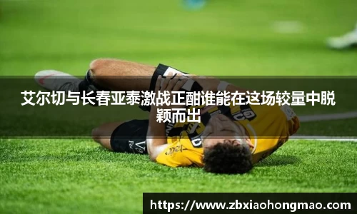 艾尔切与长春亚泰激战正酣谁能在这场较量中脱颖而出