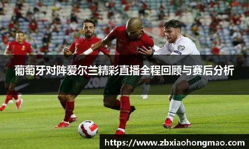 葡萄牙对阵爱尔兰精彩直播全程回顾与赛后分析