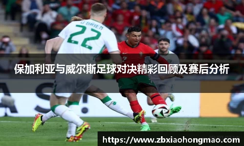 保加利亚与威尔斯足球对决精彩回顾及赛后分析